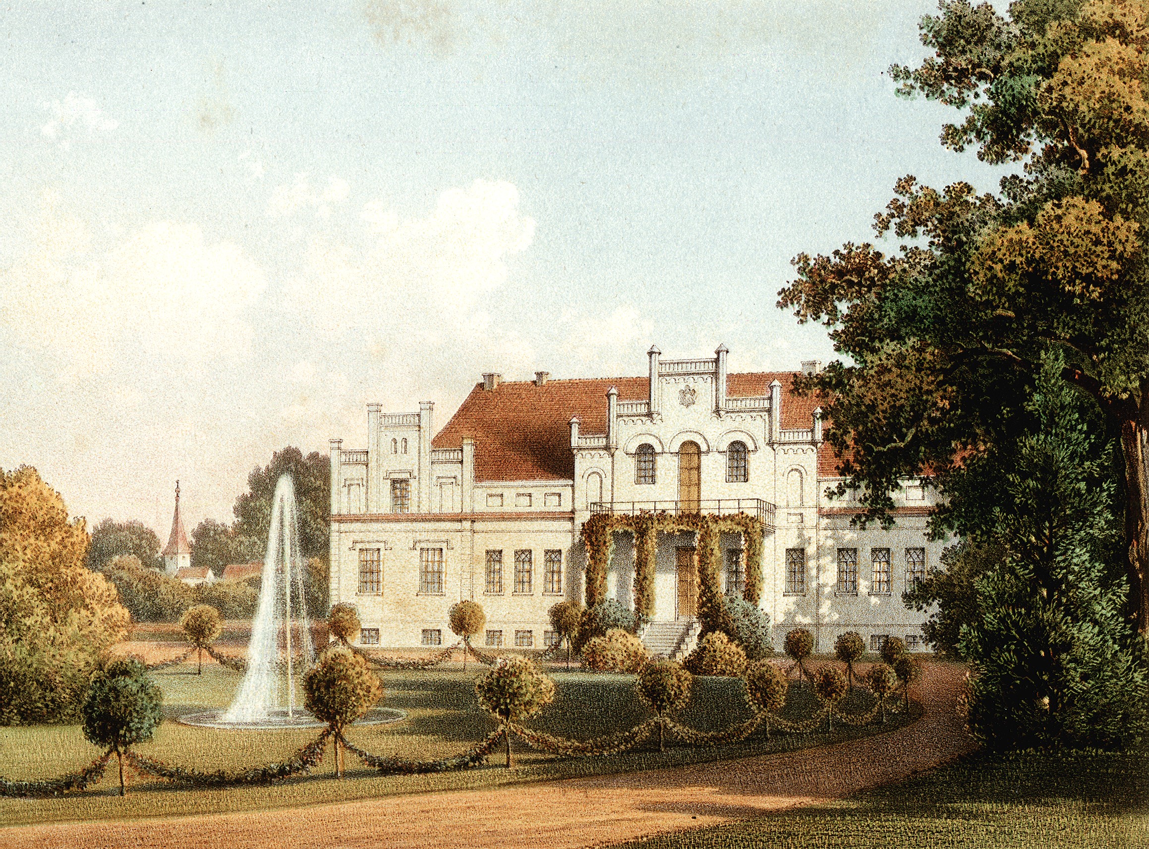 dąb w Wejherowie na dawnej rycinie